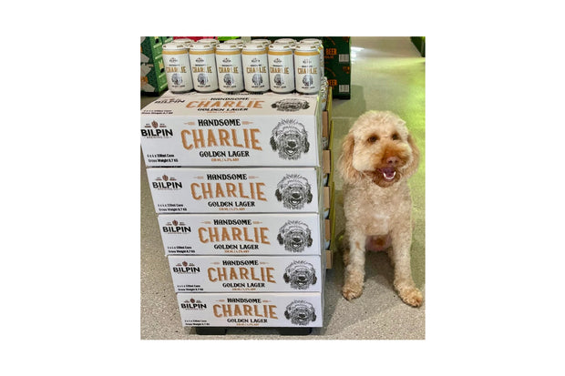 Handsome Charlie Golden Lager Case