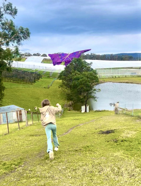 Kite